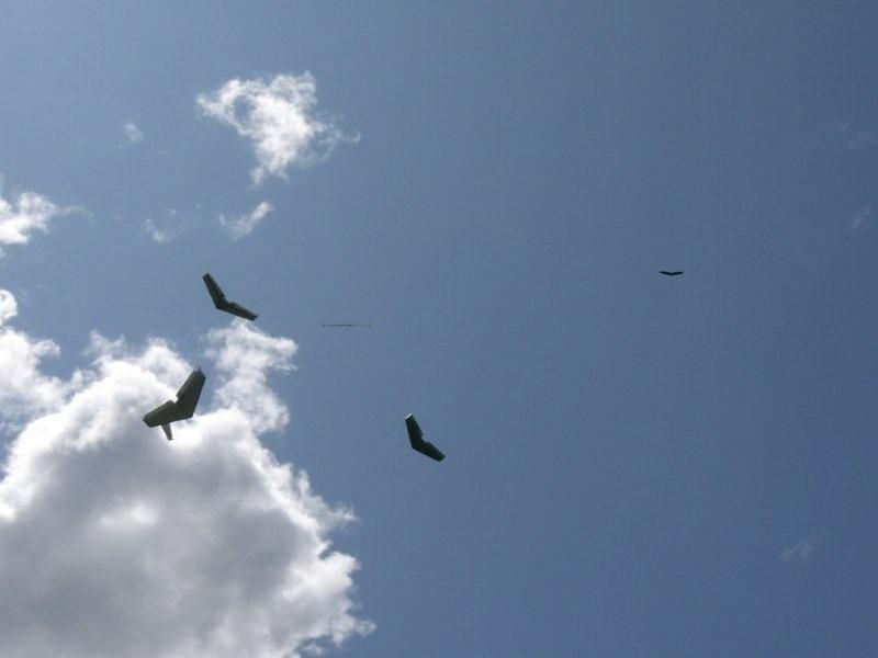 Hangfliegen